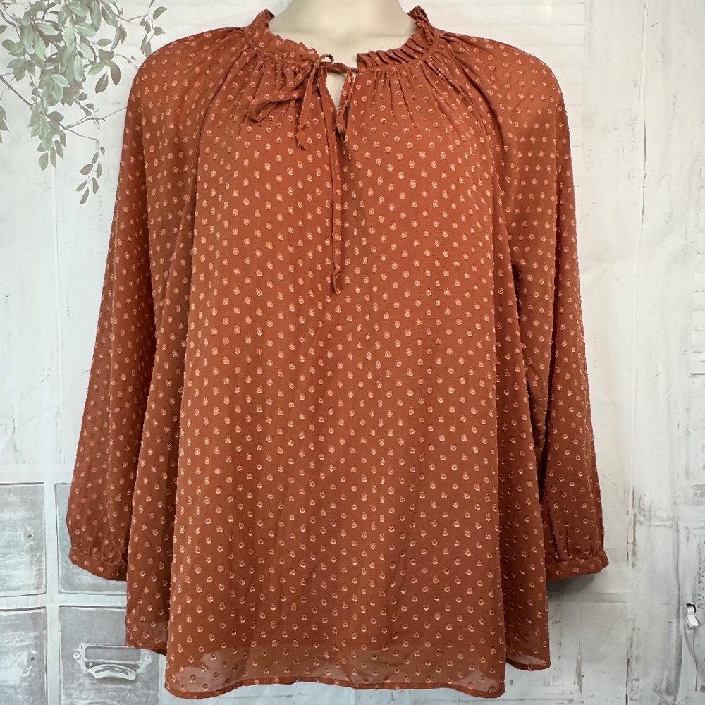 DR2 Chiffon Peasant Brown Long Sleeve Casual Top Blouse Sz. XL X Large USED